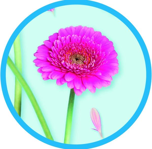 Gimi Junior Bügelbrett Bügeltisch Ironing Board 33 x 5 x 110 cm Baumwolle, für Dampfbügeleisen, Mehrfarbig Bild 6