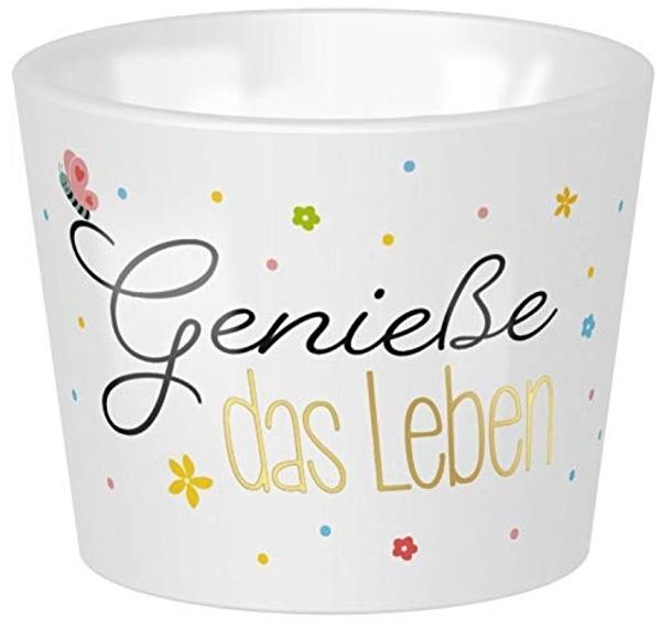 Sheepworld Eierbecher zur Auswahl Ø 5,2cm H 4.2cm Genieße. 47215