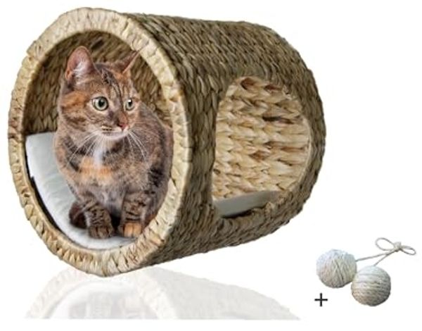 Rohrschneider Katzen-Kletterwand Katzenhöhle Wandhöhle mit Schlafhöhle Katze als Wandbett Wandmontage