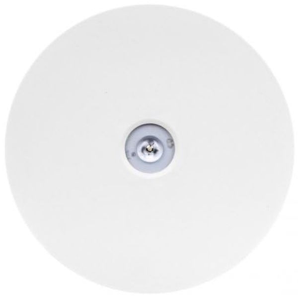 AWEX Notleuchte AXN IP65 LED 6W 590lm (opt. offen) 1h Einzelleistung AT weiß AXNO/6W/BSE/AT/WH