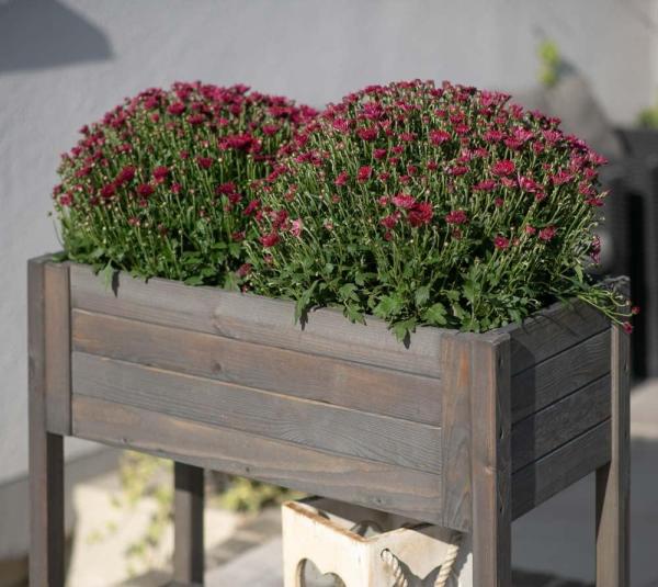 Westmann Holz Hochbeet Lisa | Grau | 79x39x79 cm Bild 6