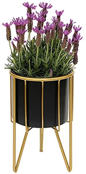 DanDiBo Blumenhocker mit Topf Metall Gold Schwarz Rund S 32 cm Blumenständer 96039 Blumensäule Modern Pflanzenständer Pflanzenhocker