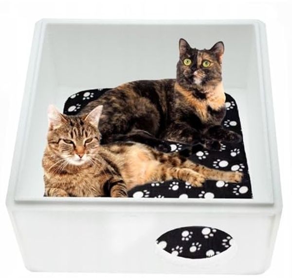 QLS Tierhaus Styropor + OSB, Wetterfestes Katzenhaus – 43x41 cm isoliertes Schutzhäuschen Bild 5
