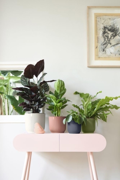 elho Vibes Fold Rund 18 Pflanzentopf - Blumentopf für Innen - 100% recyceltem Plastik - Ø 18.4 x H 16.8 cm - Schwarz/Anthrazit Bild 7