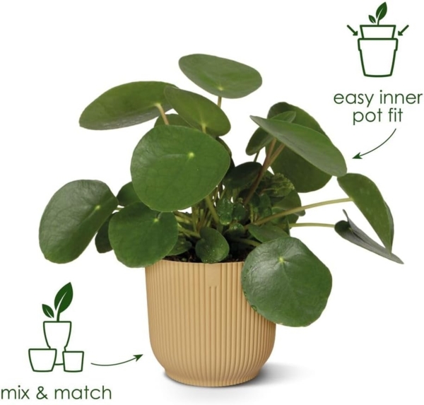 elho Vibes Fold Rund 18 Pflanzentopf - Blumentopf für Innen - 100% recyceltem Plastik - Ø 18.4 x H 16.8 cm - Schwarz/Anthrazit Bild 2