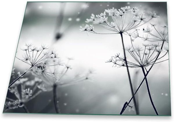Decorwelt Herd-Abdeckplatte Pusteblume Grau, (1 tlg), für alle Herdarten excl. Gasherde