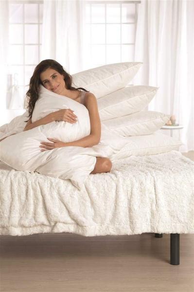 Betten Hofmann Pusta Kopfkissen 50x50 Kissen Kleinkissen Kuschelkissen 450 g 30% Daunen Bild 4