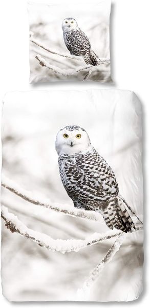 Good Morning Bettwäsche 6221 Snowy Owl White Flanell 135 x 200 + 80 x 80 cm