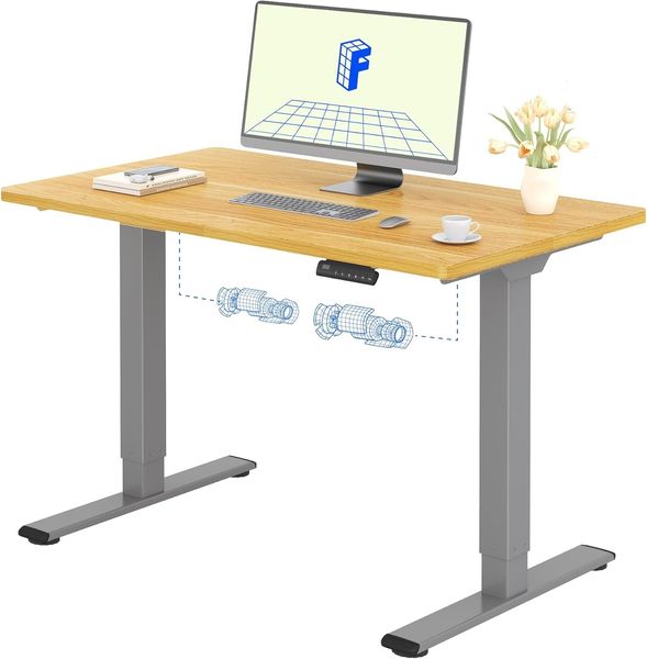 FLEXISPOT Basic Plus Elektrisch Höhenverstellbarer Schreibtisch (120x80 cm) mit Tischplatte 2-Fach-Teleskop, Sitz- & Stehpult mit Memory-Steuerung (ahorn+grau Gestell)