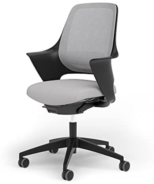 Ergotopia WellBack Bürostuhl Schwarz-Grau - Ergonomisch mit Lordosenstütze & Synchronmechanik