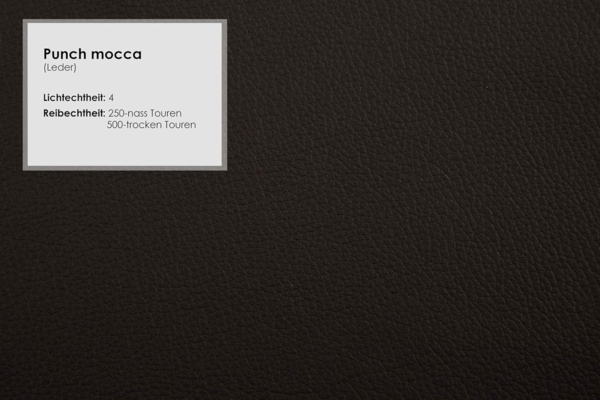 Cavadore Wohnlandschaft Castiel mit Federkern / Sofalandschaft mit XL-Longchair, Sitztiefenverstellung, satinierten Metallfüßen / 363 x 89 x 223 / Echtleder, Dunkelbraun Bild 8