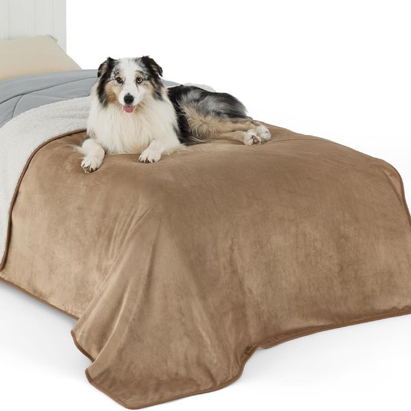 Lesure wasserdichte Hundedecke Grosse Hunde - 152x203 cm waschbar Hundedecke Outdoor, XL Hundedecke Sofaschutz aus Sherpa Fleece, Katzendecke flauschig für Couch, Kamel