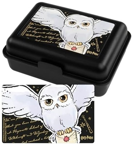United Labels® Lunchbox Harry Potter Brotdose Hedwig Eule Lunchbox Butterbrotdose Trennwand, Kunststoff (PP)