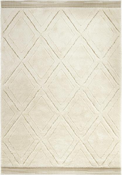 Hochflor Teppich Colin Beige - 120x170x2,2cm