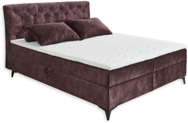 MIAMI 1 Boxbett 180x200, Aubergine - Bequemes Doppelbett mit Bettkasten & Komfortschaum Topper - 185 x 115 x 224 cm (B/H/T)