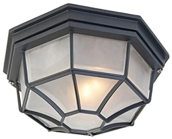 Qazqa Außen-Deckenleuchte Bri, ohne Leuchtmittel, E27, Dunkelgrau, Landhaus, Aluminium, 1-flammig