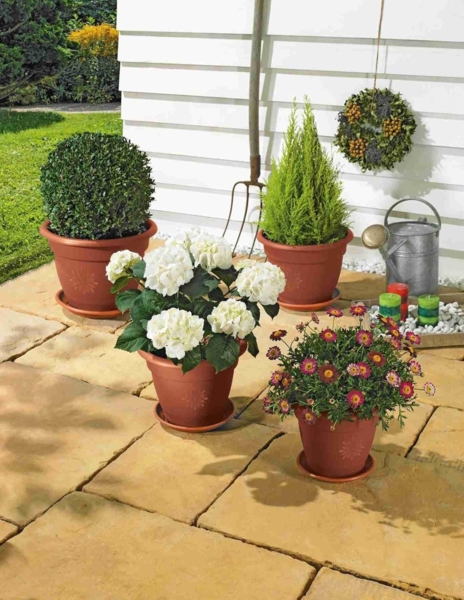 Alpfa Blumentopf-Set inkl. Untersetzer - 8-teilig