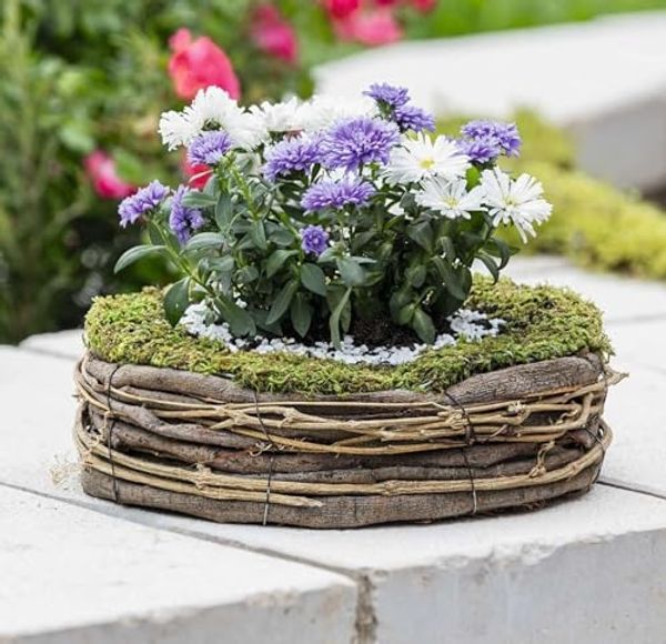 Pflanzer "Natur" Pflanzschale aus Moos, Weinreben & Weide, rund Ø 26 cm, Outdoor Blumentopf, Pflanztopf für Draußen, Garten Pflanzgefäß