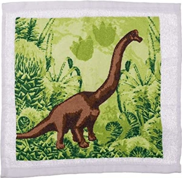 Zauberhandtuch - 1 Stück - Dinosaurier - Magisches Handtuch - 4 fach sortiert - 30x30 cm Baumwolle