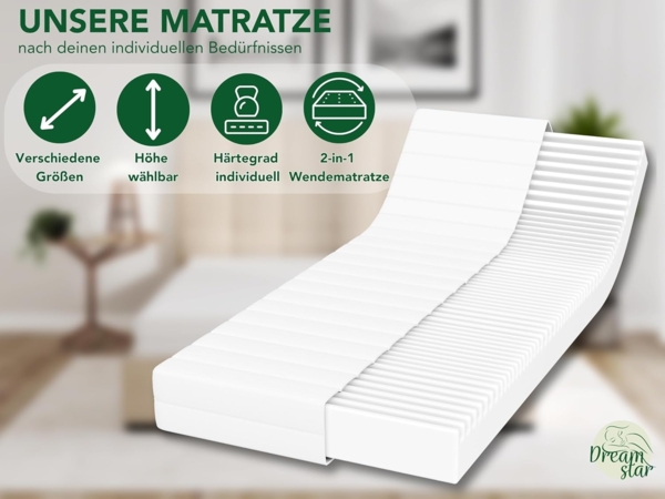 DREAMSTAR Easy Flex | ergonische 7-Zonen Kaltschaummatratze | Öko-Tex Zertifiziert | Härtegrad 2 und 3 (H2 & H3) | Rollmatratze 13 cm | Made in EU I 160x200 cm Bild 2