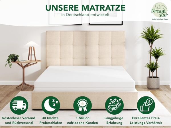 DREAMSTAR Easy Flex | ergonische 7-Zonen Kaltschaummatratze | Öko-Tex Zertifiziert | Härtegrad 2 und 3 (H2 & H3) | Rollmatratze 13 cm | Made in EU I 160x200 cm Bild 6