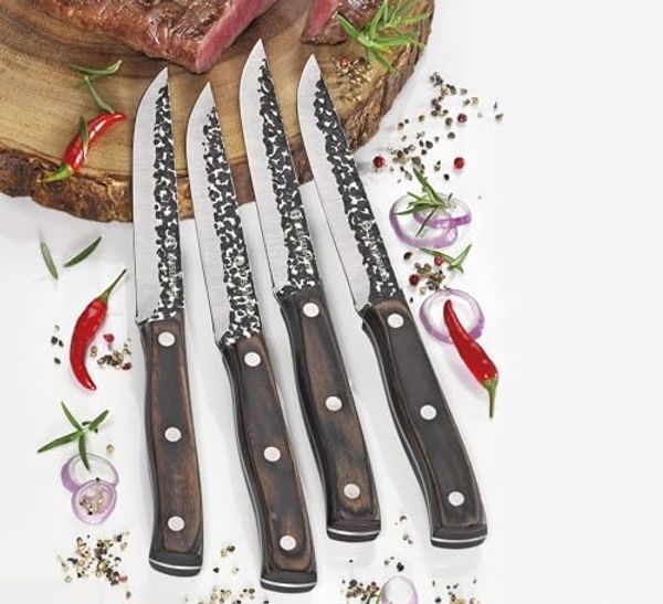 Steakmesser HUNTER 4er-Set