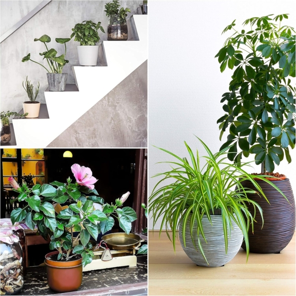 Belle Vous Übertopf Belle Vous 40er Pack Unsichtbarer Blumentopf Füße - Blumenständer (1 St) Bild 8