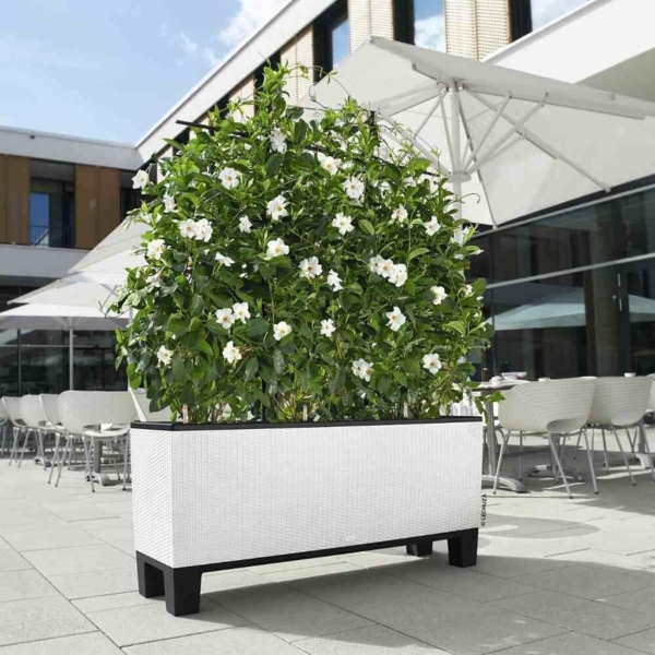 LECHUZA TRIO Cottage 40 Sockel schwarz 15032 Bild 2