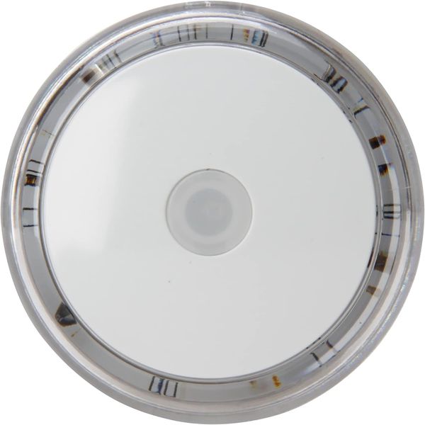 Kopp 195901078 Nachtlicht mit 3 LED's leuchtend und Dämmerungssensor, Weiß