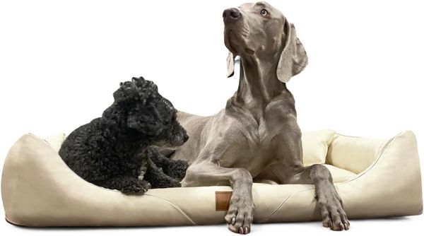 WILLIAM EASY CLEAN Orthopädisches Hundebett - 05 Creme, 130x100cm
