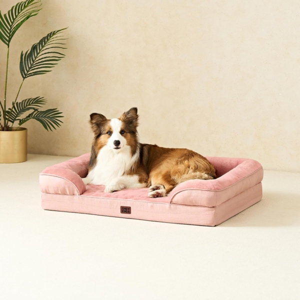 EHEYCIGA Orthopädisches Hundebett Grosse Hunde, Memory Foam, Mittelgroße Hunde, Waschbar Wasserdicht, rutschfest, mit Hohem Rand Bild 9
