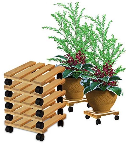 BigDean Blumentopfuntersetzer Pflanzenroller rund Buchenholz Holz 30cm 120Kg Rolluntersetzer, 1-tlg.