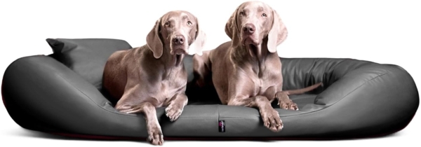 tierlando® Tierbett tierlando® Orthopädisches Hundebett SAMMY, Pflegeleichtes Kunstleder