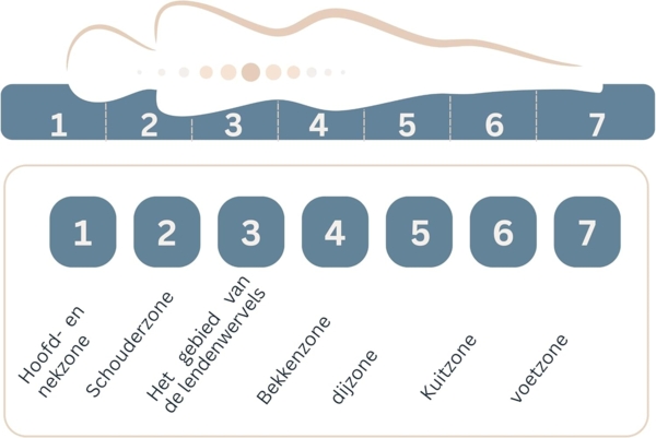 Ortho Klassik 19 7Z Kaltschaummatratze 200x160x19cm H4 Bild 4