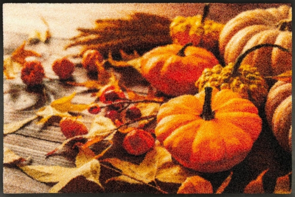 wash+dry by Kleen-Tex Fußmatte Pumpkin Glow, rechteckig, Höhe: 7 mm, waschbar und trocknergeeignet