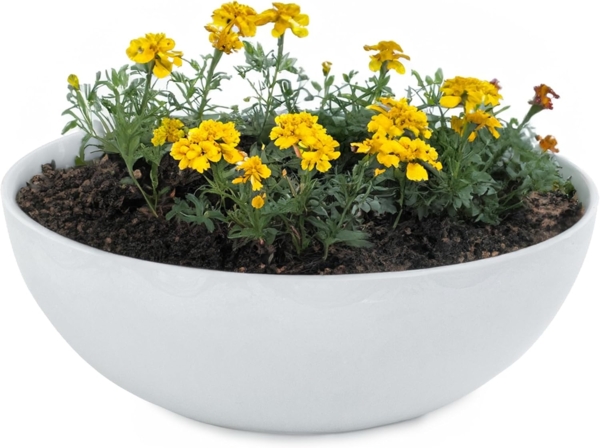 matches21 HOME & HOBBY Blumentopf Runde bauchige 20 cm Pflanzschale für draussen, hell-grau marmoriert (1 St), Wetterfeste Blumen-Schale als moderne Gartendeko Grabschmuck