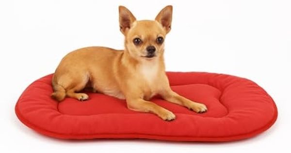 Flamingo Tierkissen Kissen Firenze dünn oval rot für Katzen