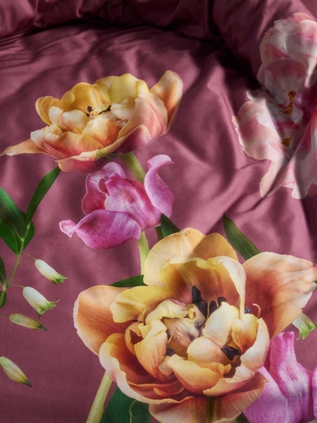 Essenza Mako-Satin Bettwäsche Eloise mauve|155x220 cm + 80x80 cm Bild 4