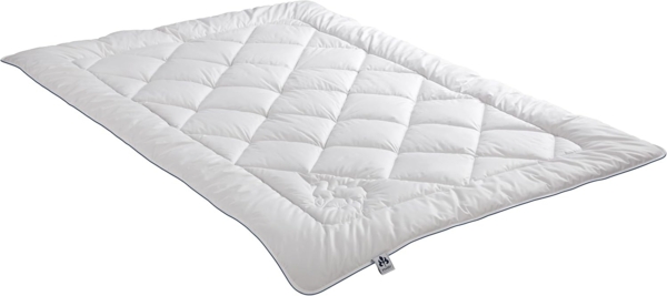 Badenia Bettcomfort Irisette Steppbett medium aus Kamelhaar für den Übergang, 135x200 cm Bild 2