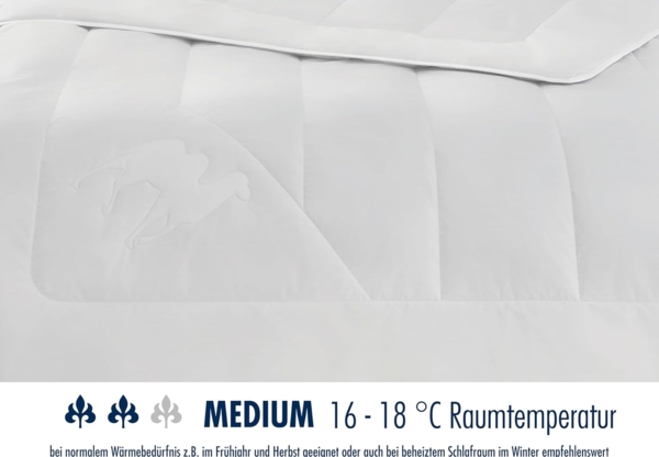 Badenia Bettcomfort Irisette Steppbett medium aus Kamelhaar für den Übergang, 135x200 cm Bild 3