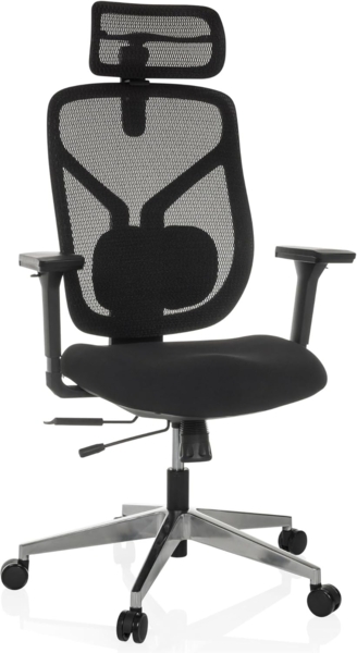 hjh OFFICE Bürostuhl ergonomisch CASSILIS B Netz Drehstuhl, Verstellbare Rückenlehne mit Lendenstütze, Körpergröße bis 220 cm, Schwarz