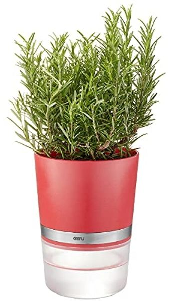 Gefu Kräutertopf Botanico Himbeerrot