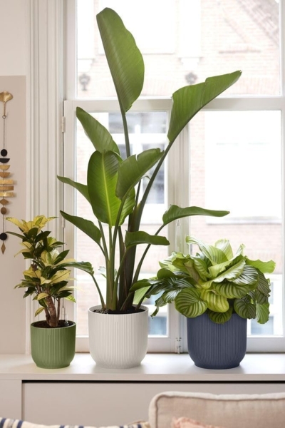 elho Vibes Fold Rund 35 Pflanzentopf - Blumentopf für Innen - 100% recyceltes Plastik - Ø 34.9 x H 32.4 - Schwarz/Anthrazit Bild 8