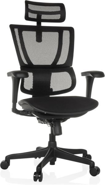 hjh OFFICE Bürostuhl ergonomisch ERGOHUMAN Slim ECO F GEN2 Originales Design, Bürosessel mit Flexibler Lendenwirbelstütze, gepolsterte Sitzfläche, Schwarz