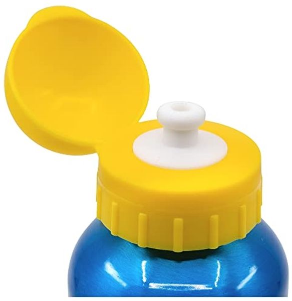 Aluminium Motiv Trinkflasche für Kinder 400ml Isoflasche mit Kappe Kinderflasche Paw Patrol Bild 3