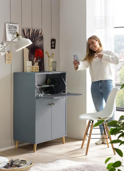 SCHILDMEYER Sekretär Schrank Schreibtisch Schreibschrank Computertisch Fjord