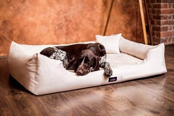 PLUTO SOFT Orthopädisches Hundebett - 05 Creme, 110x90cm