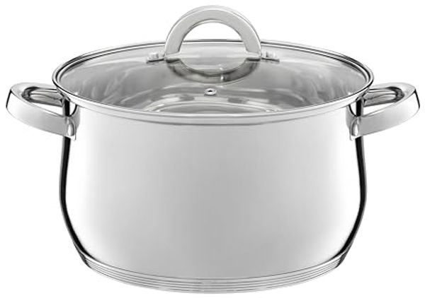 Dajar Kochtopf mit Deckel D22 cm 4 8 l BERRY Ambition 60801