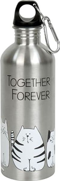 Könitz Flasche Cool Bottle - Funny Cats, Thermoflasche, Outdoorflasche, Doppelwandig mit Verschluss, Edelstahl, Silbern, 600 ml, 11 9 244 2075
