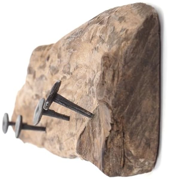 DESIGN DELIGHTS Wandgarderobe WANDGARDEROBE "Holz massivROOTS 50", Holz massivholzwurzel, 50x12cm(L